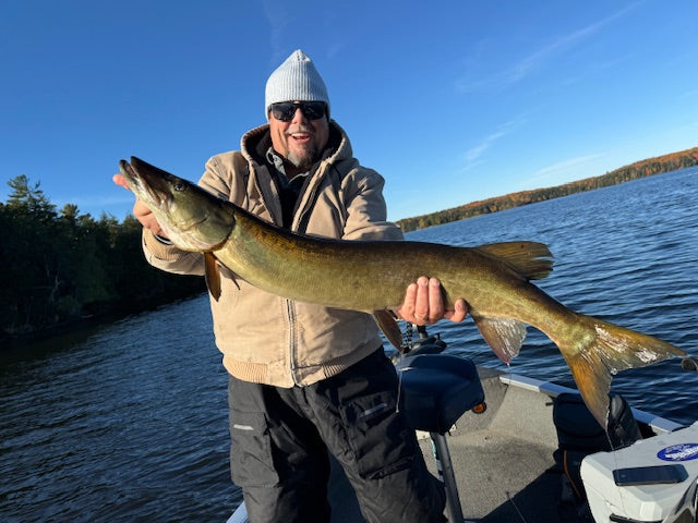 Musky Shop Northwoods Fishing Report: Late October 2024