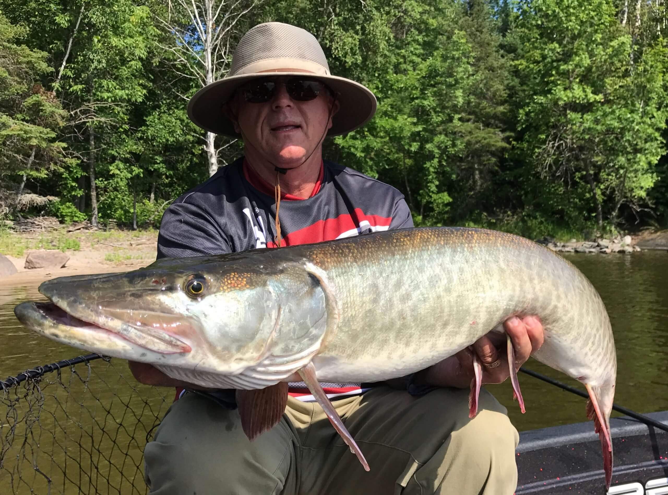 MuskieFIRST  Tiger? » General Discussion » Muskie Fishing
