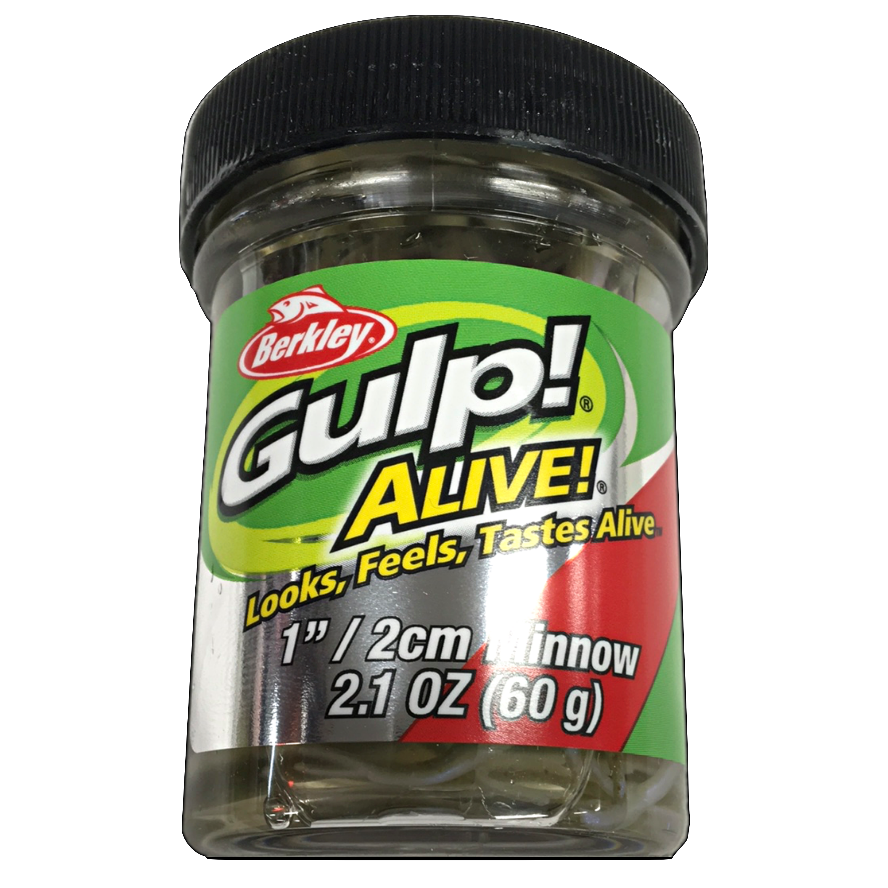 Buy GAVVOI Gulp! Alive! Gulp Bait 1 INCH Black SHAD Minnow 2 jar Bundle  Berkley Perch Minnows ice Fishing Bait Panfish Minnows Online at  desertcartKUWAIT