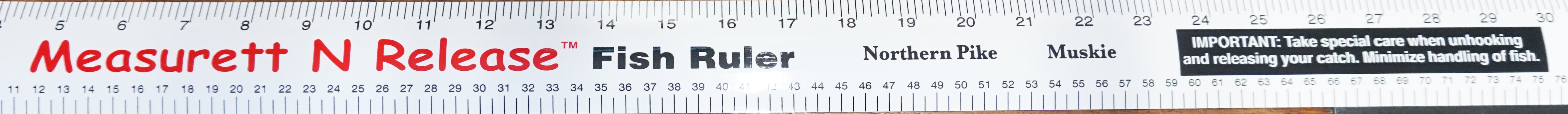 Measurett N'Release Fish Ruler Decal